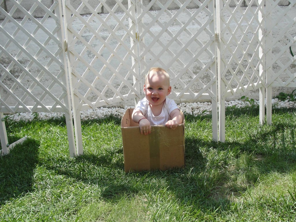Cristi in the box